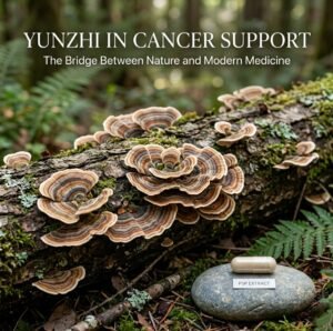 Trametes versicolor turkey tail mushroom and pharmaceutical PSP capsules for cancer support
